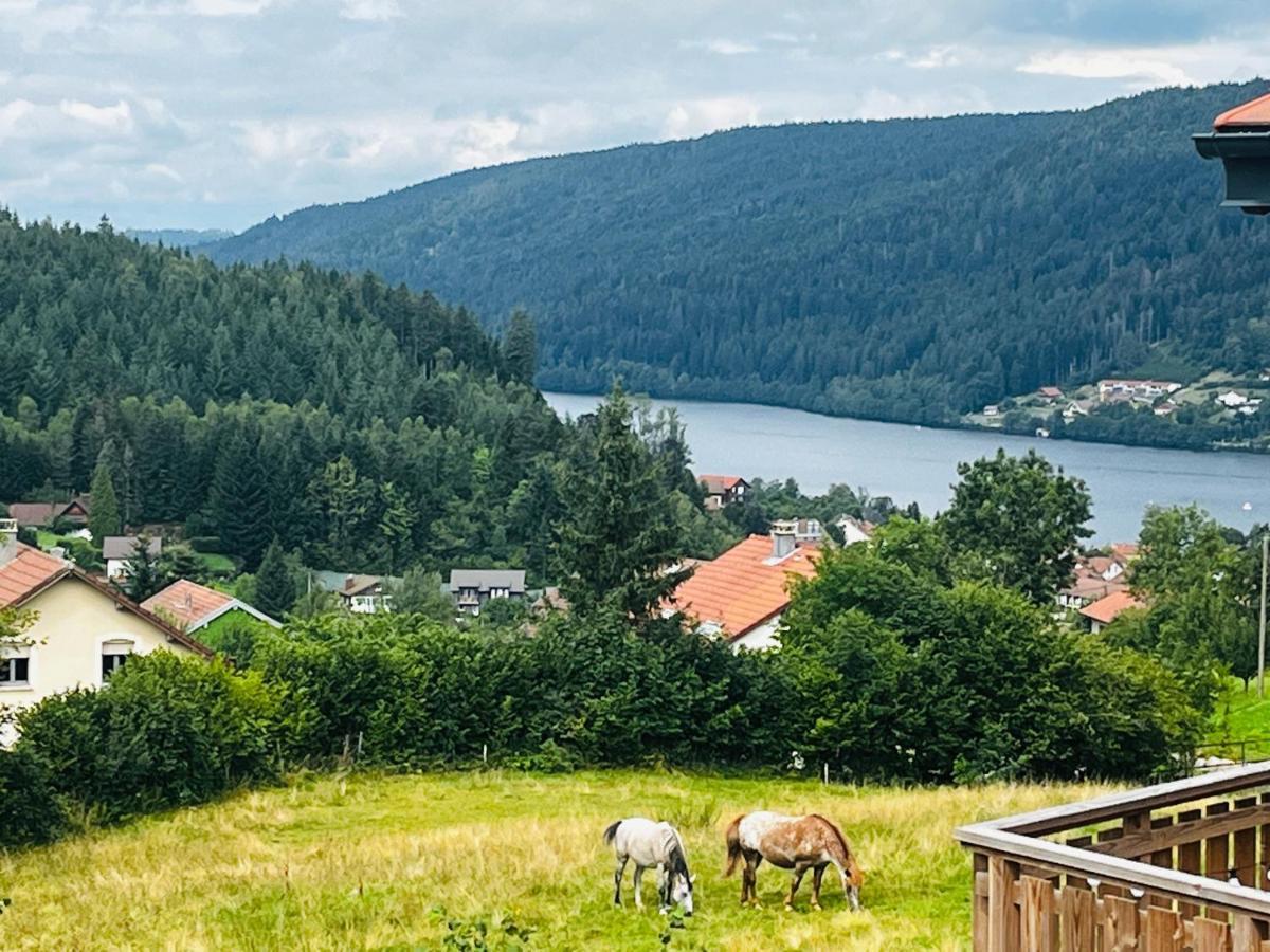 Stone Lake Luxury Lodge Gérardmer Esterno foto